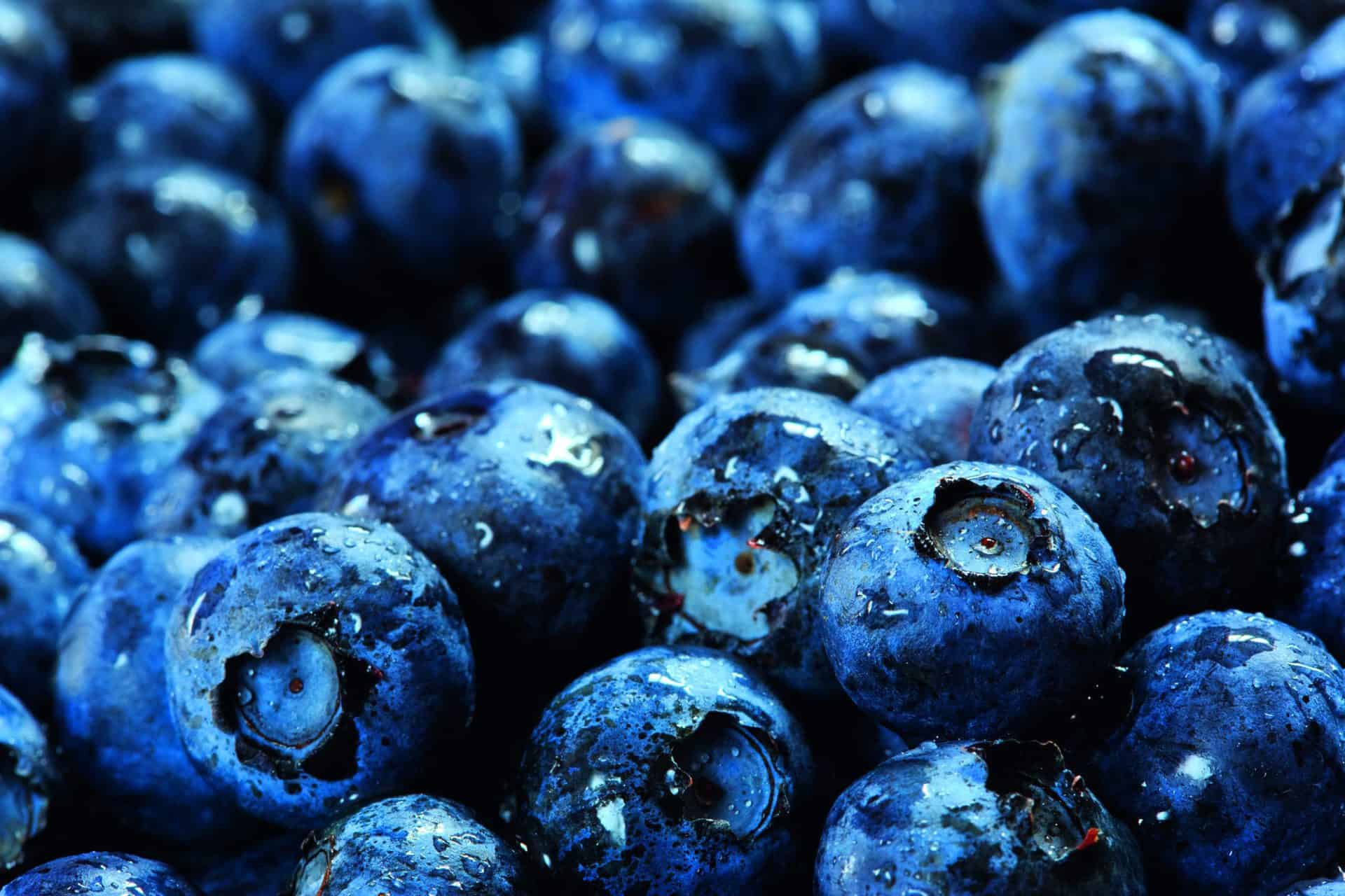 Blueberry Significance Agri Technovation