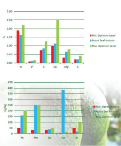 This information is essential for the interpretation of the analytical results and for the formulation of recommendations. The accuracy of the recommendations will depend on both the extent to which the sample is representative of the orchard and on the accuracy of the information that is supplied. No recommendations can be given if this information is inadequate.