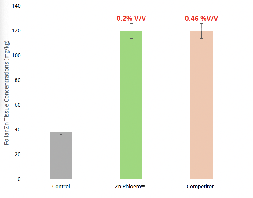 Zinc Phloem
