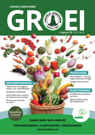 Uitagwe 28 - Voorblad