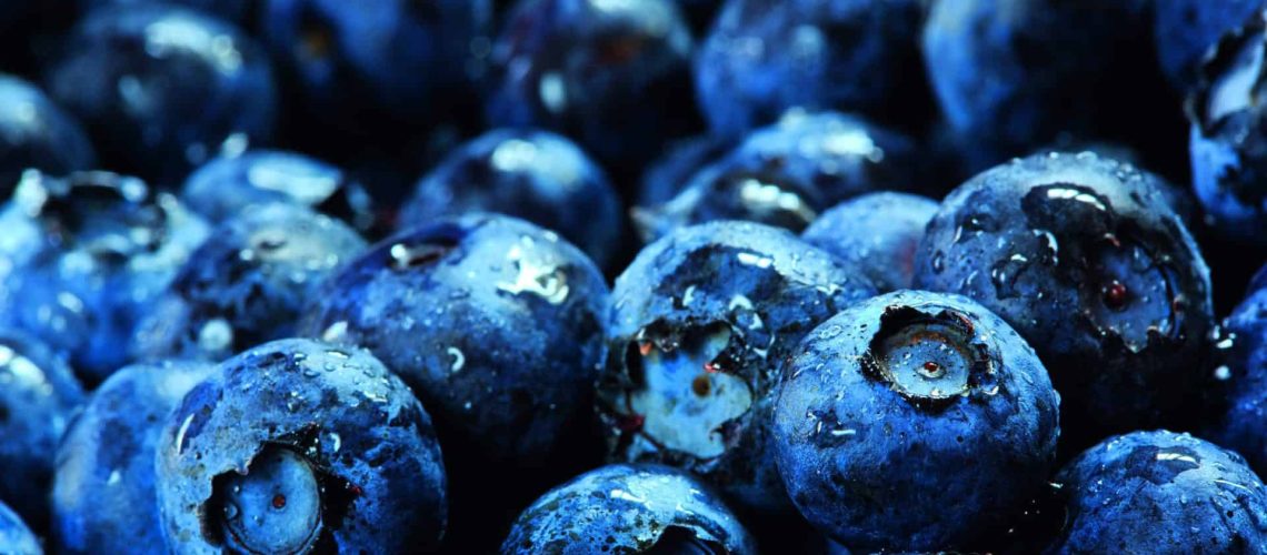 Blueberries_shutterstock_146861537_CMYK 300dpi