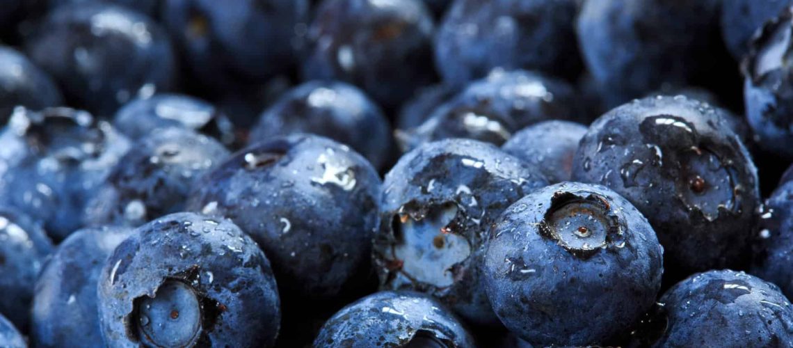 Blueberries_shutterstock_146861537_RGB-300dpi