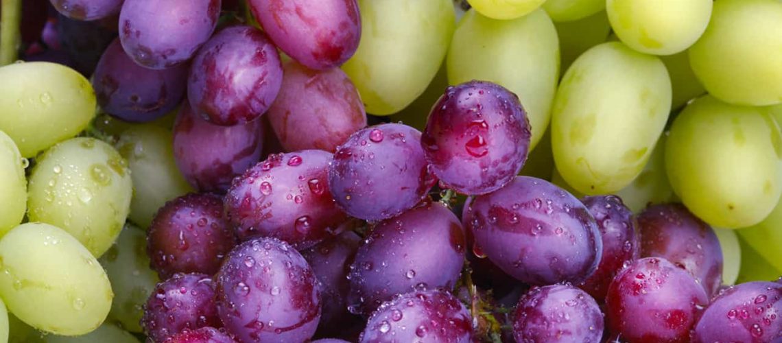Grapes_shutterstock_111135767_RGB 72dpi (3)1