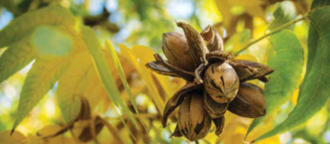 Screenshot 2026-04-10 144900