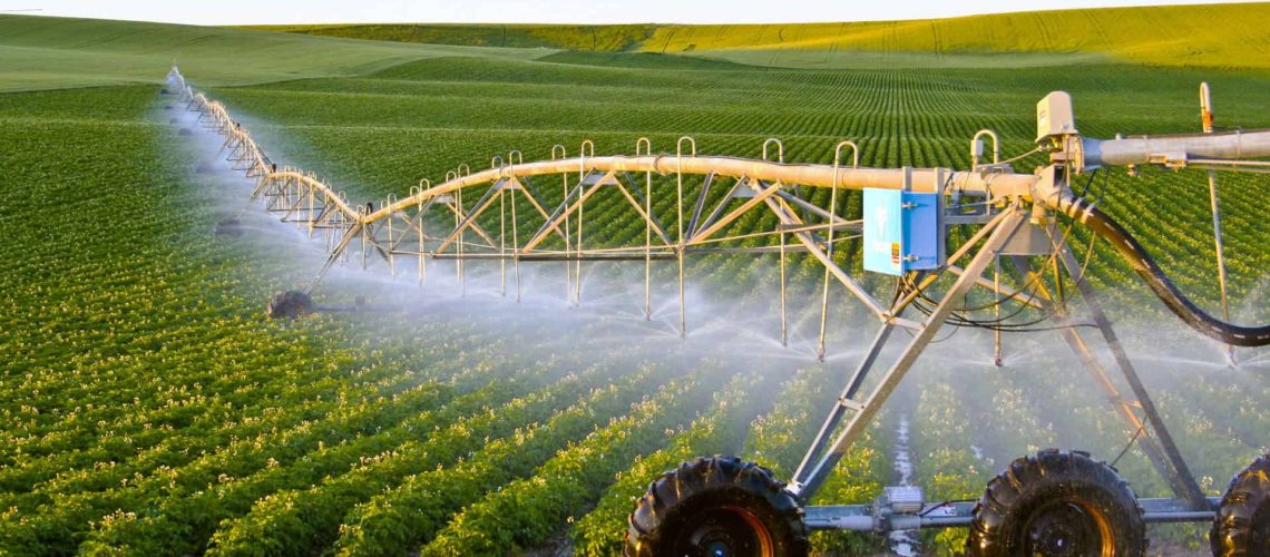 irrigation