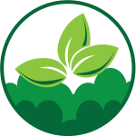 logo_Website