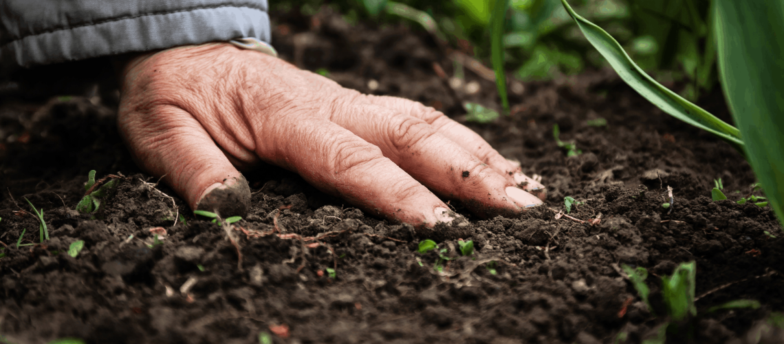 soil-and-hand